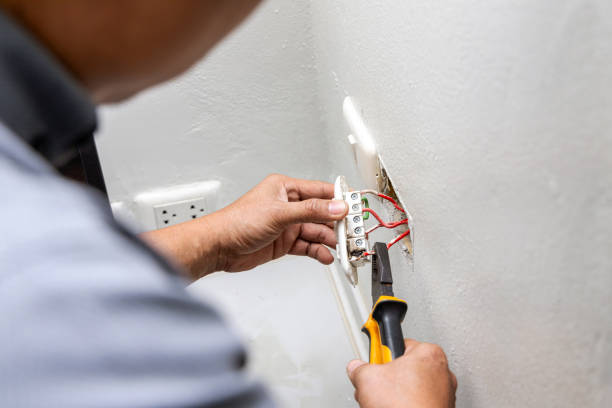 Best Electrician for Home Renovation  in Franklin, CA